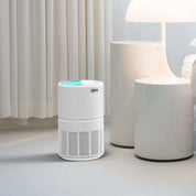 Air Purifier and Cleaner with HEPA Filter Sleep Mode and Timer - Appliances > Aroma Diffusers & Humidifiers > Purifiers