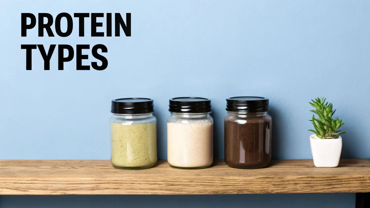 Three jars containing different types of protein powder on a wooden shelf, with 'PROTEIN TYPES' written above.