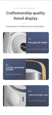 Black 3-in-1 Portable Air Cooler Fan - Desktop Ultrasonic Wellness Humidifier & LED Light, Nano Mist