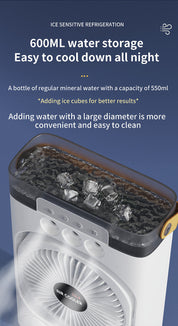 Black 3-in-1 Portable Air Cooler Fan - Desktop Ultrasonic Wellness Humidifier & LED Light, Nano Mist