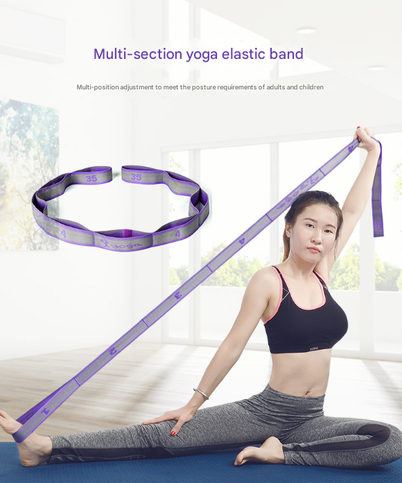 Blue and Purple 9-Loop Premium Yoga Stretch Strap - Numbered Band for Flexibility and Physical Therapy