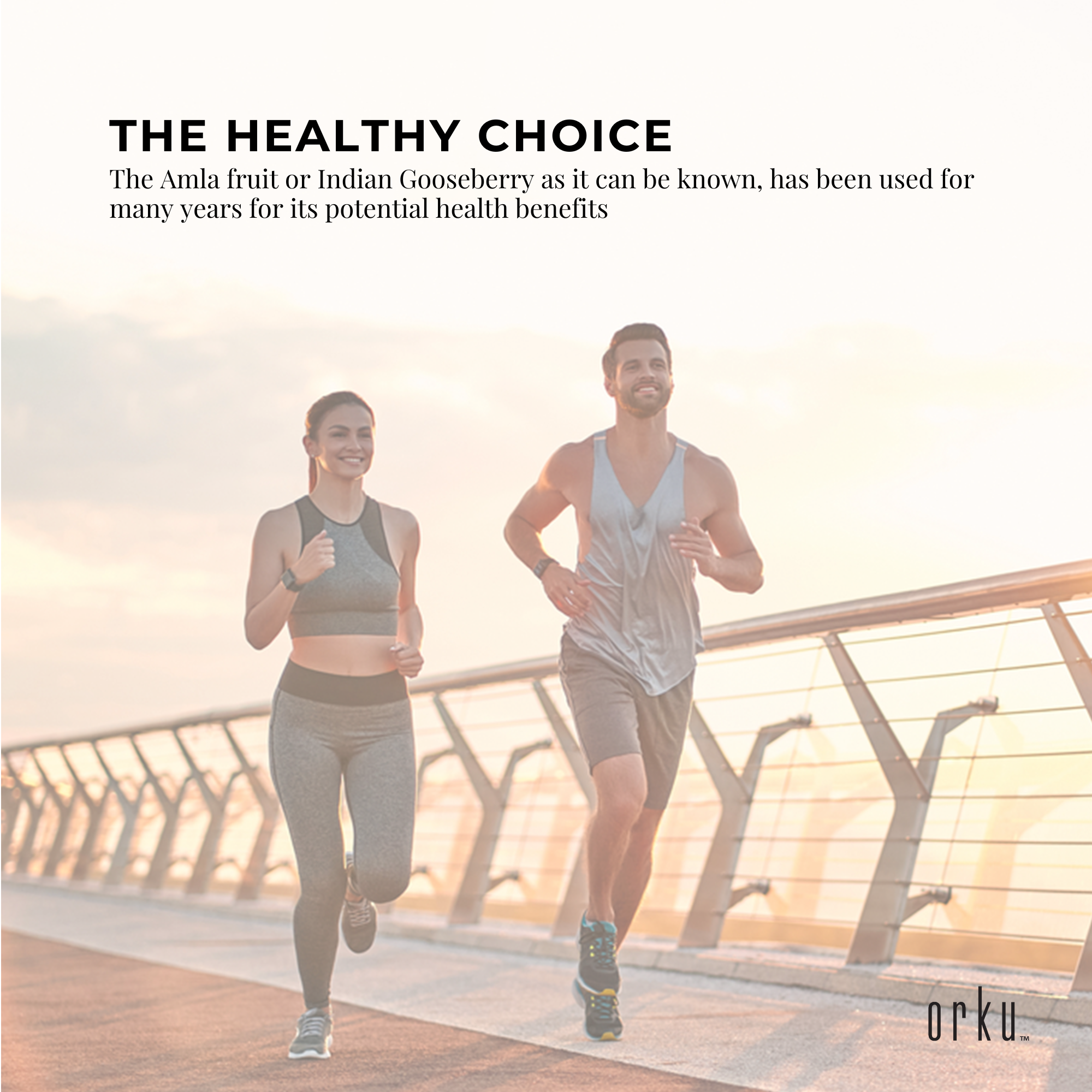 Bulk 20Kg Organic Amla Powder Indian Gooseberry Emblica Officinalis Supplement - Health & Beauty > Nutrition &