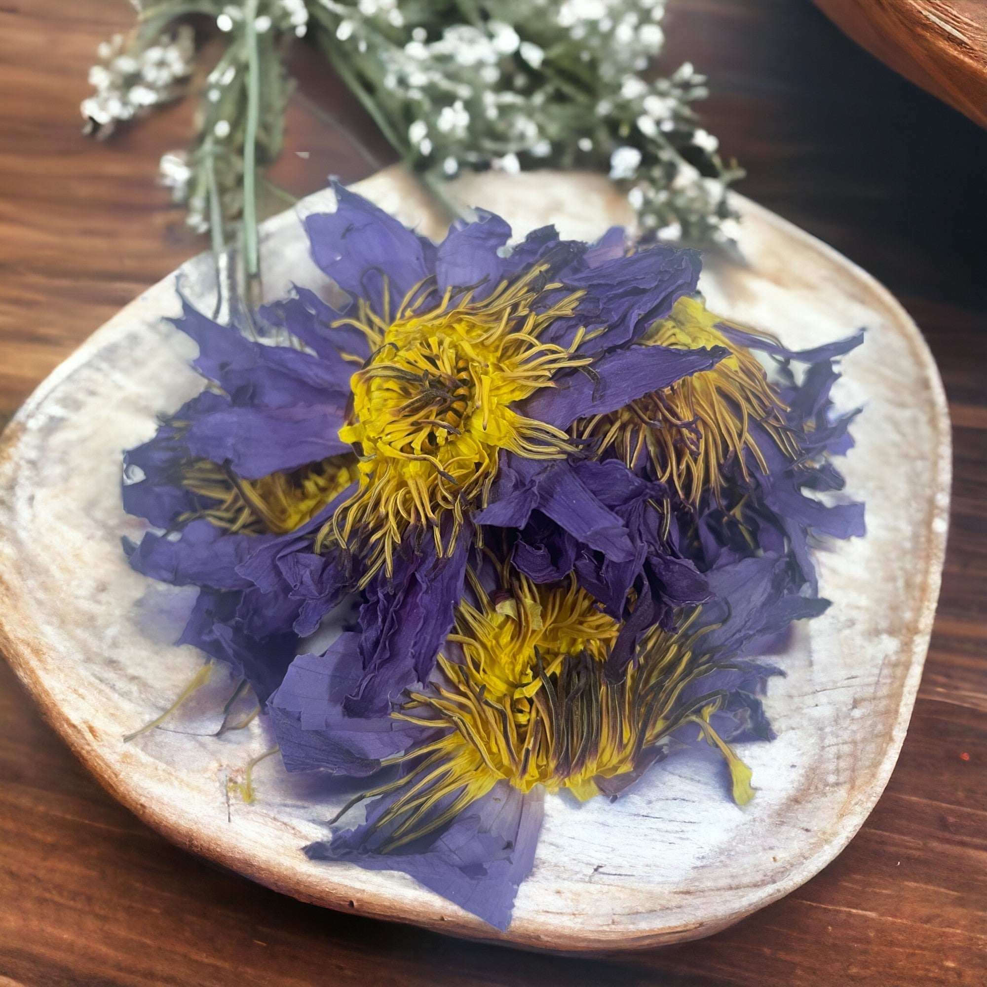 plate of herbal blue water lillies