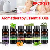 Essential Oil Set 6 Bottles Plant Aromatherapy Oils Natural Scent for Diffuser - Appliances > Aroma Diffusers &