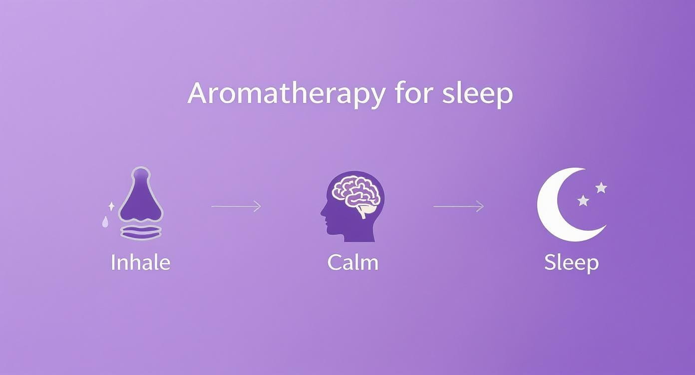 A diagram illustrating how aromatherapy, through inhalation, leads to calmness and then sleep.