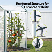 Green Fingers Mini Premium Greenhouse PE Cover Green House Roll-Up Zippered Door 1.0x0.8x1.5M