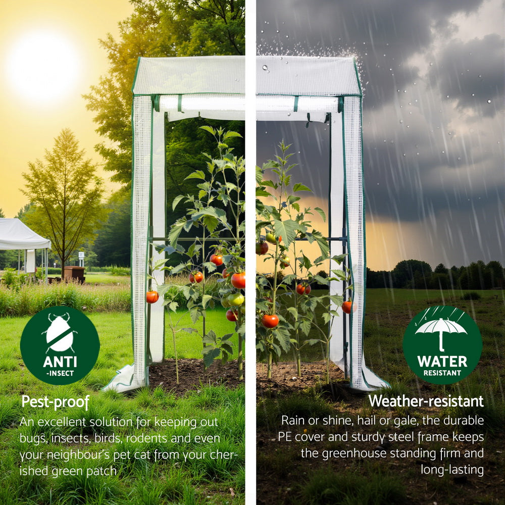 Green Fingers Mini Premium Greenhouse PE Cover Green House Roll-Up Zippered Door 1.0x0.8x1.5M