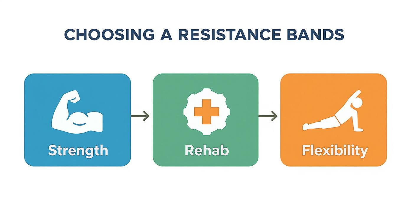 Visual guide showing the various uses of resistance bands: strength, rehabilitation, and flexibility.