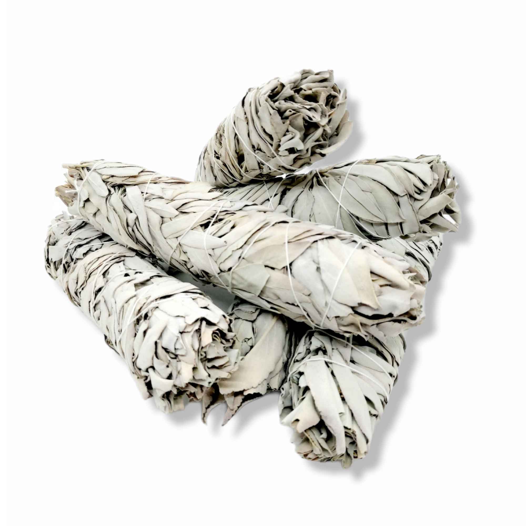 Large Wildcrafted White Sage Smudge Sticks Four Pack bundled with twine from coastal mountains