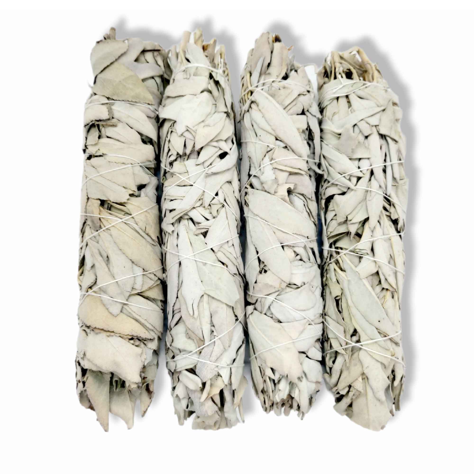 Four white sage smudge sticks from coastal mountains in a large pack for cleansing