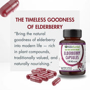 Organic Elderberry Capsules