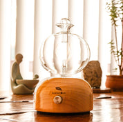 Oscar High Eco-Friendly Nebuliser | Waterless Aroma Diffuser | No Plastics Pure Essential Oil Diffusing - Appliances >