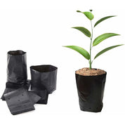 Premium 100 pcs Thickened Plastic Plant Nursery Bags