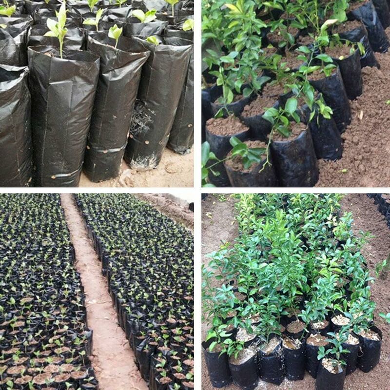 Premium 100 pcs Thickened Plastic Plant Nursery Bags
