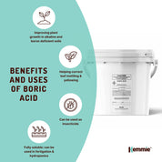 1Kg Boric Acid Powder Bucket 99.9% Pure Fully Soluble Granule Pest Ant Roaches - Pet Care > Pest Control > Household