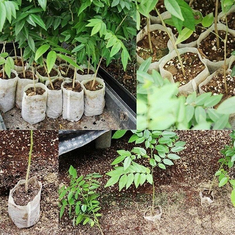 Premium 500 pcs Non-Woven Plant Grow Bags