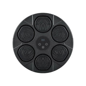 Premium Everfit Music Boxing Machine Bluetooth Wall-Mounted Punch Target with LED Display & Gloves