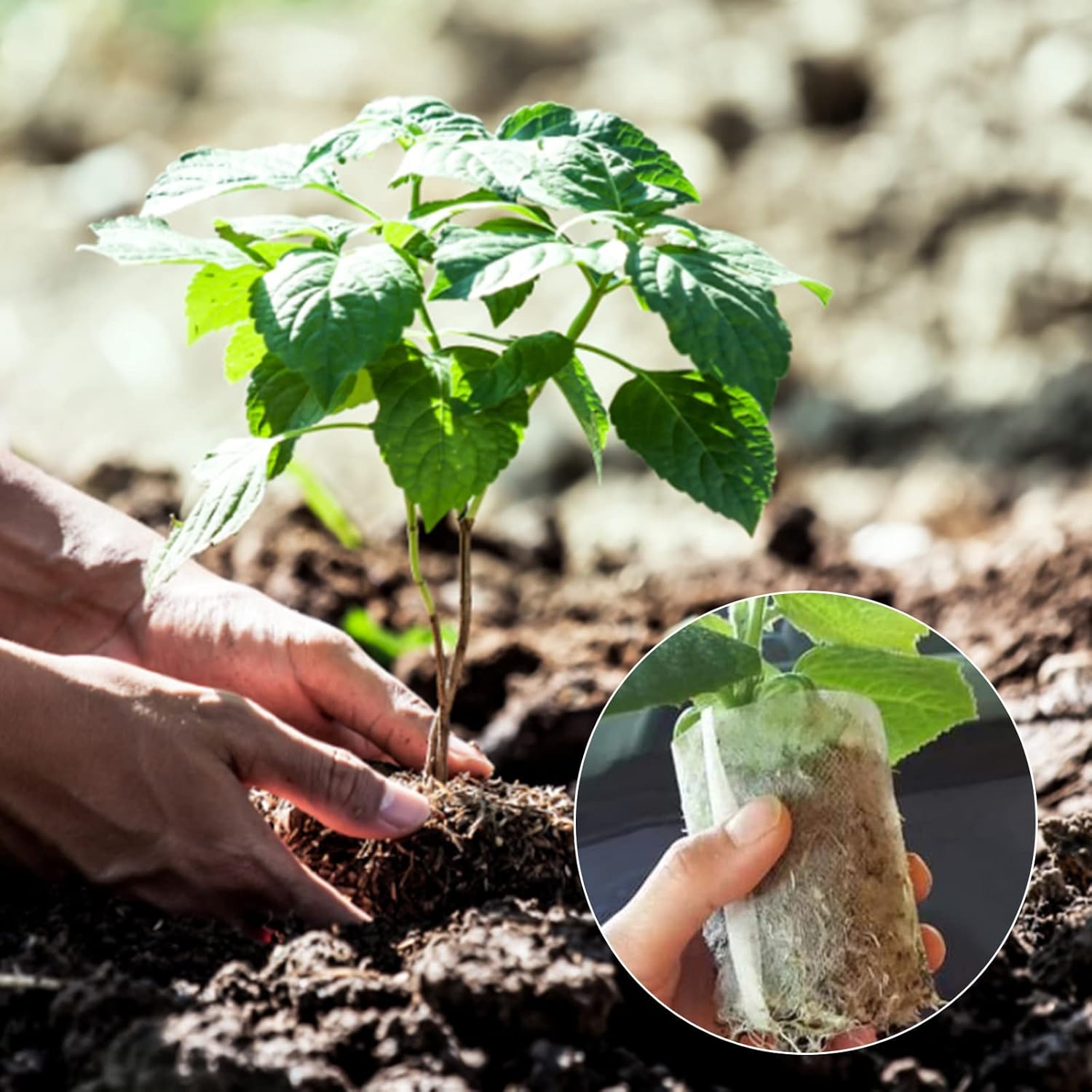 Premium Grow Bags - Gardening 100pc