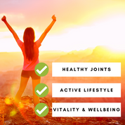 REFILL BAG - Turmeric 95% Curcumin Extract Capsules Organic with Black Pepper 270 Vegan Capsules/ 3 Month Supply