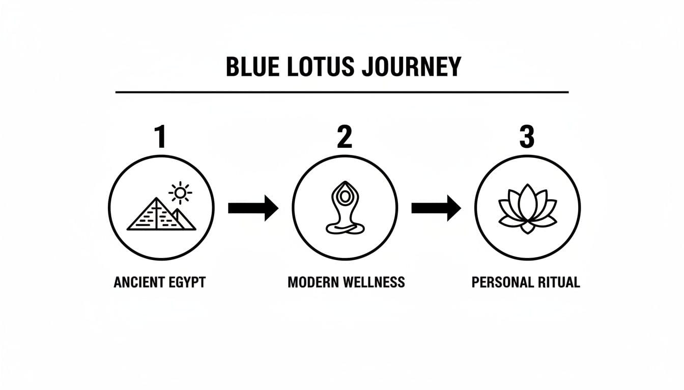 A three-step diagram illustrates the Blue Lotus Journey from Ancient Egypt to Modern Wellness and Personal Ritual.