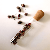 Tea Infusing Wand - Food & Beverage > Pantry > Teas & Accessories