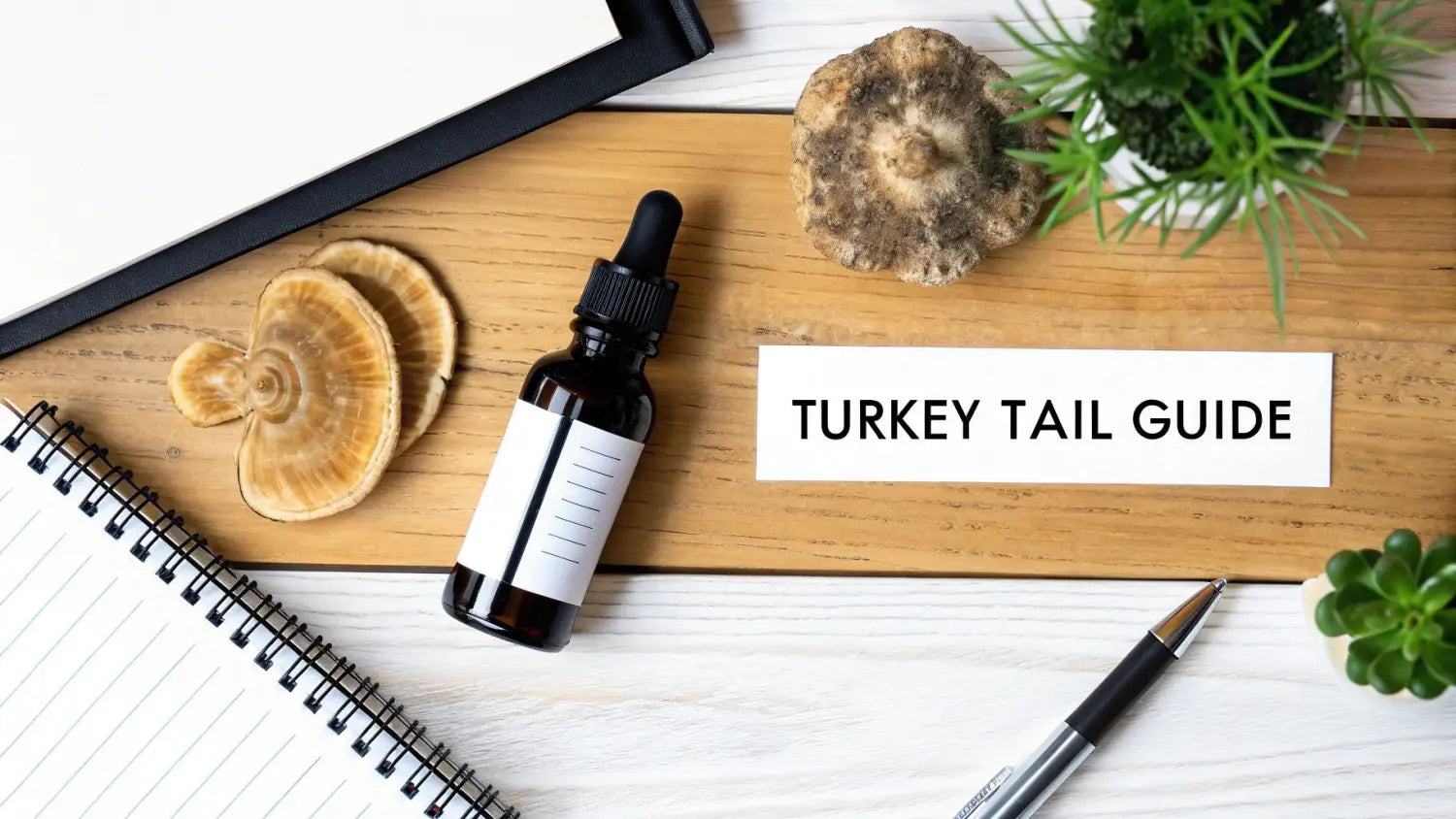Turkey tail guide with mushroom supplements, dried fungi, notebook and natural wellness products on wooden desk